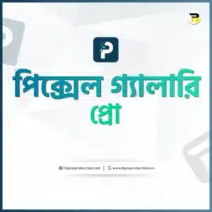 Pixel Gallery Pro