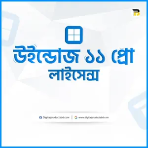 উইন্ডোজ ১১ লাইসেন্স