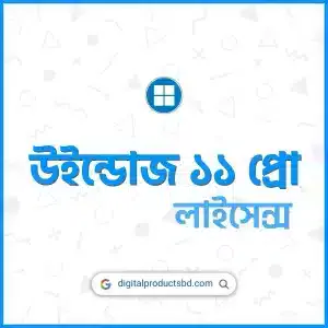 উইন্ডোজ ১১ লাইসেন্স